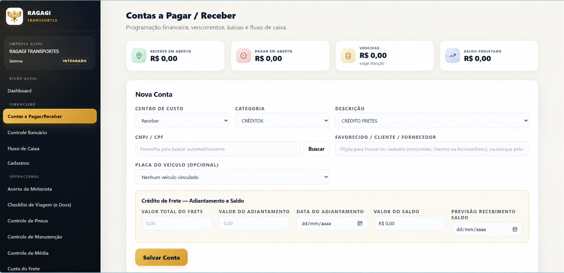 Demonstração financeira adaptada para a RAGAGI, com valores zerados